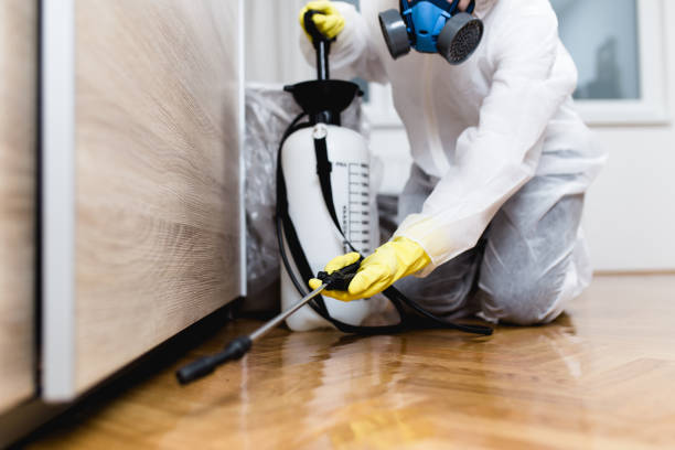 Best Flea Control Services  in Warrensville Heights, OH
