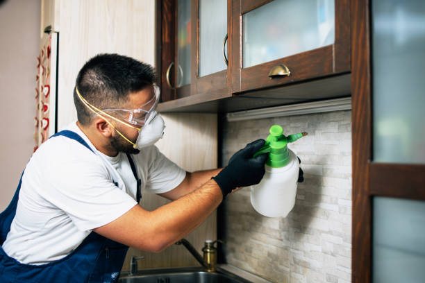 Best Affordable Pest Control Services  in Warrensville Heights, OH