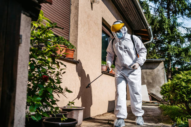 Best Ant Control Services  in Warrensville Heights, OH
