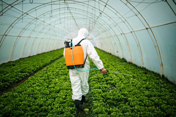 Best Affordable Pest Control Services  in Warrensville Heights, OH