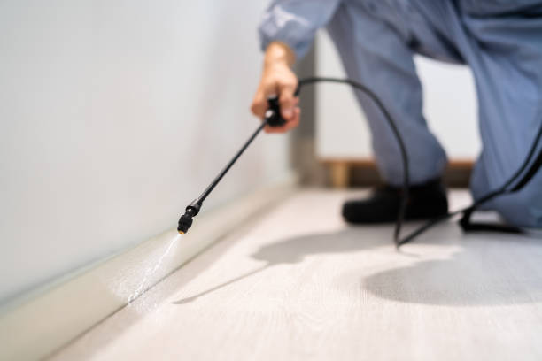 Wildlife Control Services in Warrensville Heights, OH