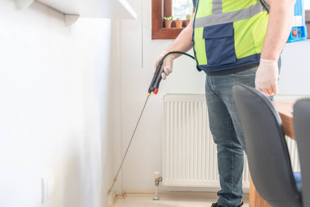 Best Flea Control Services  in Warrensville Heights, OH
