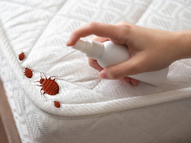 Best Pest Prevention Services  in Warrensville Heights, OH