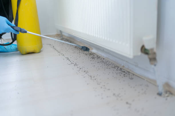Best Rat Extermination Near Me  in Warrensville Heights, OH