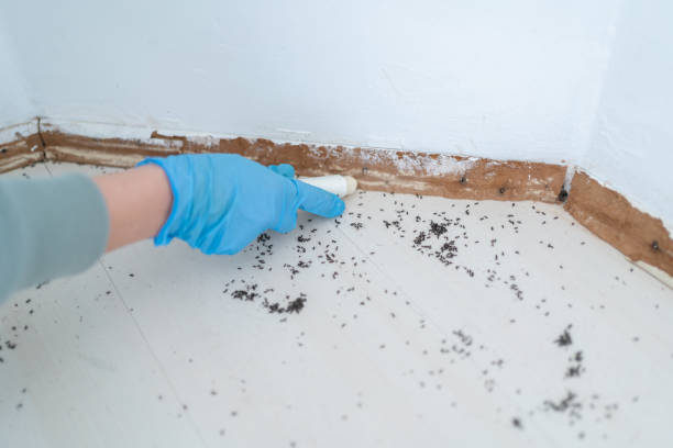 Best Pest Removal Services  in Warrensville Heights, OH