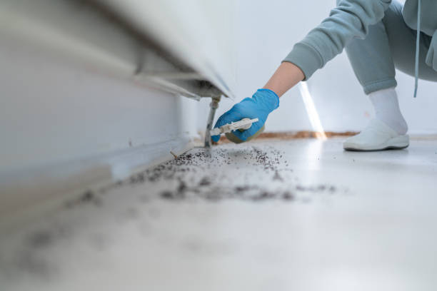 Best Pest Inspection Near Me  in Warrensville Heights, OH