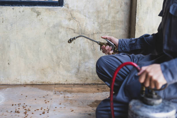 Best Best Pest Control Companies  in Warrensville Heights, OH
